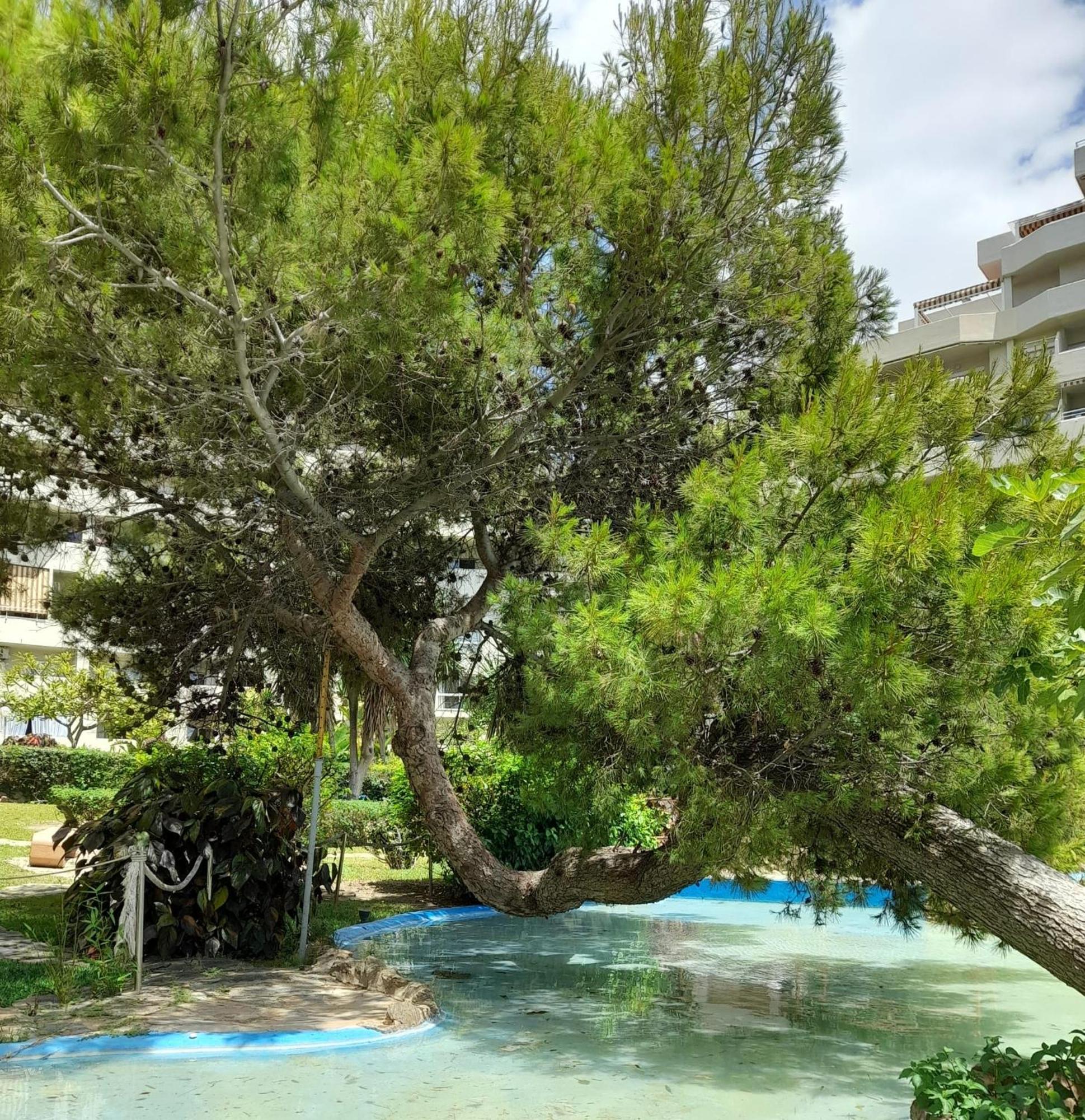 Benalbeach R&R Suite Benalmádena Eksteriør billede